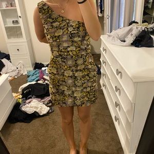 Zara dress